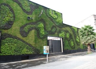 Giardinaggio in verticale 1553 0 Giardinaggio in verticale.JPG